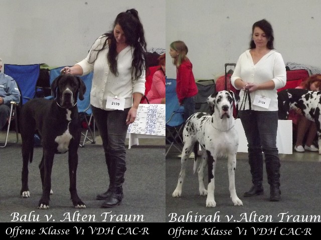 Balu und Bahirah CACIB Karlsruhe 2014
